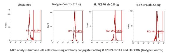 Human FKBP6 Antibody (FITC Conjugate) - Image 2