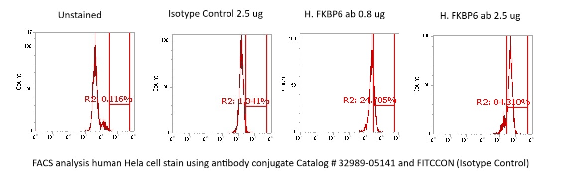 Human FKBP6 Antibody (FITC Conjugate) - Image 2