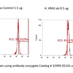 Human KRAS AssayLite Antibody (FITC Conjugate)