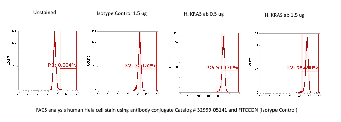 Human KRAS AssayLite Antibody (FITC Conjugate)