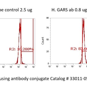 Human Glycyl-tRNA Synthetase (GARS) Antibody (FITC Conjugate)