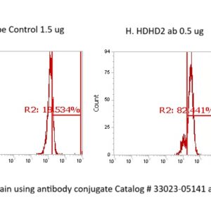 Human HDHD2 AssayLite Antibody (FITC Conjugate)