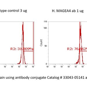Human Melanoma-associated Antigen 4 AssayLite Antibody (FITC Conjugate)