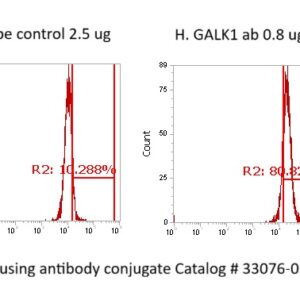 Human GALK1 Antibody (FITC Conjugate)