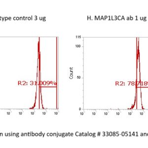 Human MAP1LC3A AssayLite Antibody (FITC Conjugate)