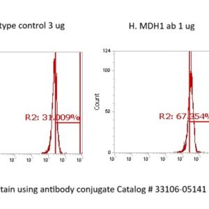 Human MDH1 AssayLite Antibody (FITC Conjugate)