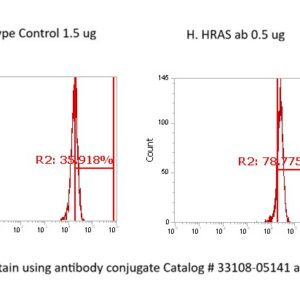 Human GTPase HRAS AssayLite Antibody (FITC Conjugate)