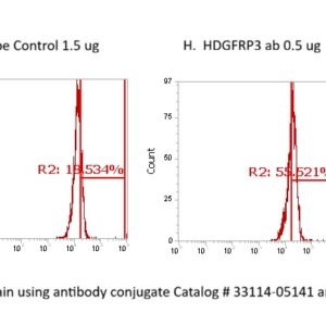 Human HDGFRP3 AssayLite Antibody (FITC Conjugate)