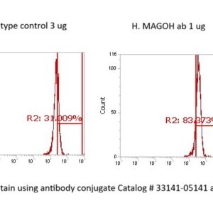 Human MAGOH AssayLite Antibody (FITC Conjugate)