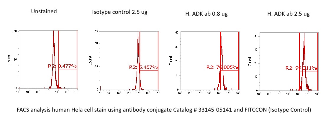 Human ADK AssayLite Antibody (FITC Conjugate) - Image 2