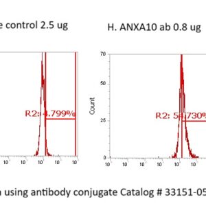 Human Annexin A10  (ANXA10) Antibody (FITC Conjugate)