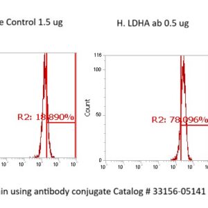 Human LDHA AssayLite Antibody (FITC Conjugate)
