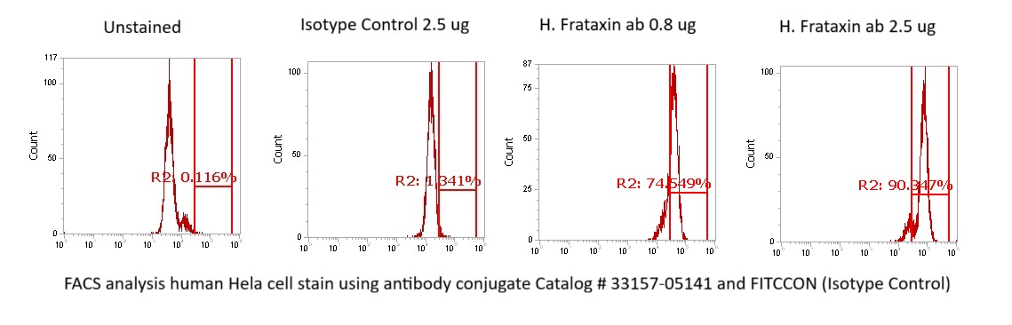 Human Frataxin Antibody (FITC Conjugate) - Image 2