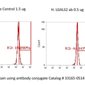 Human Galectin 2 AssayLite Antibody (FITC Conjugate)