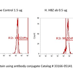 Human HBZ AssayLite Antibody (FITC Conjugate)
