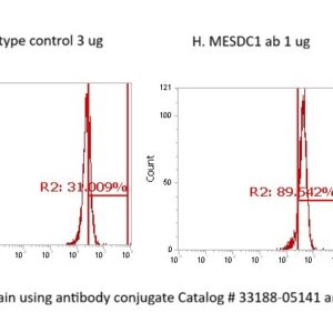 Human MESDC1 AssayLite Antibody (FITC Conjugate)