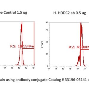 Human HDDC2 AssayLite Antibody (FITC Conjugate)