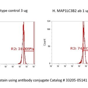 Human MAP1LC3B2 AssayLite Antibody (FITC Conjugate)