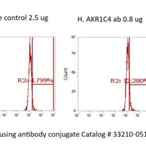 Human AKR1C4 Antibody (FITC Conjugate)