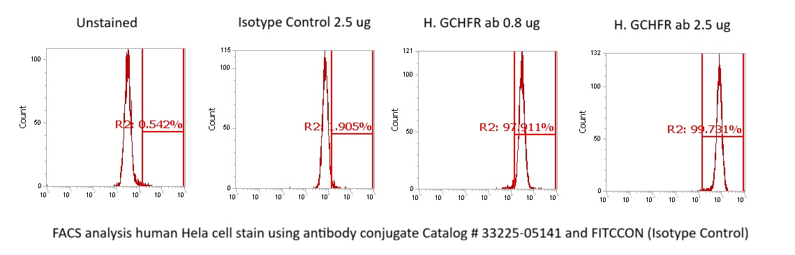 Human GCHFR Antibody (FITC Conjugate)