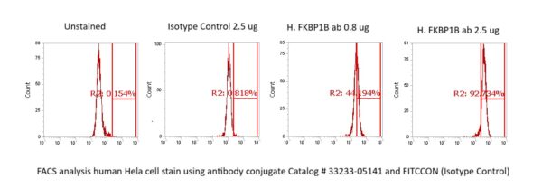 Human FKBP1B Antibody (FITC Conjugate) - Image 2