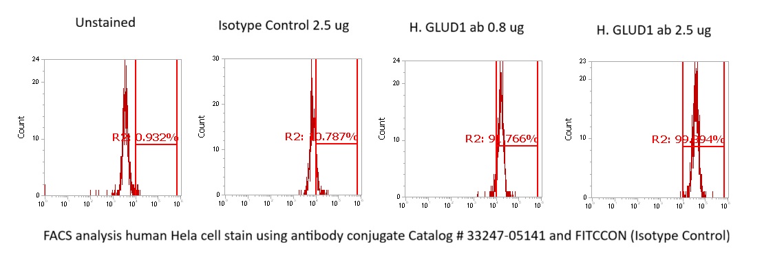 Human Glutamate Dehydrogenase 1 (GDH 1) Antibody (FITC Conjugate) - Image 2