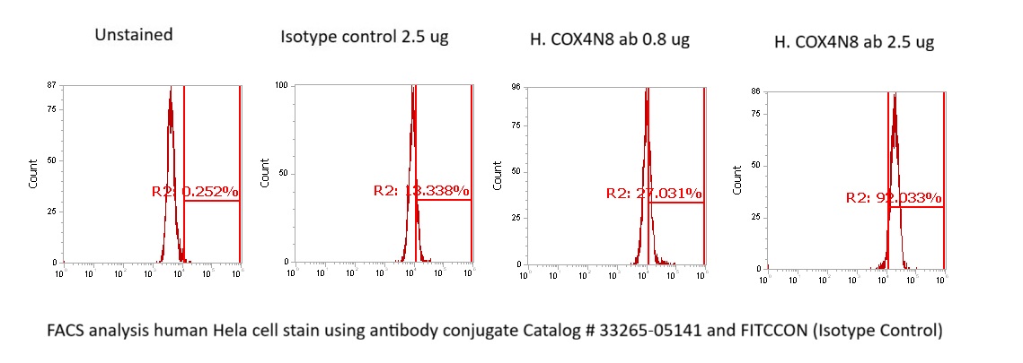 Human COX4NB Antibody (FITC Conjugate) - Image 2