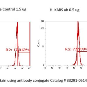 Human Lysine--tRNA Ligase AssayLite Antibody (FITC Conjugate)