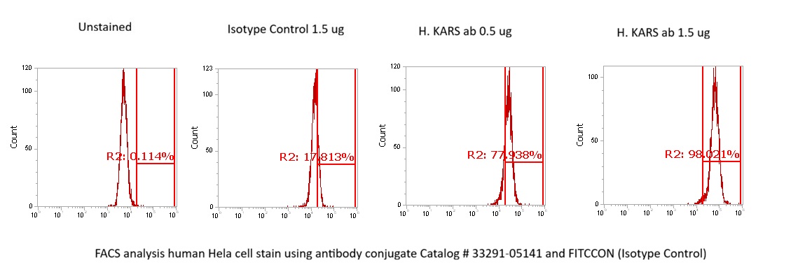 Human Lysine--tRNA Ligase AssayLite Antibody (FITC Conjugate)