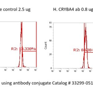 Human CRYBA4 Antibody (FITC Conjugate)