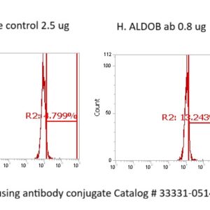 Human Aldolase B Antibody (FITC Conjugate)