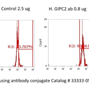 Human GIPC2 Antibody (FITC Conjugate)