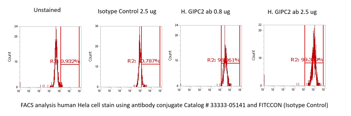 Human GIPC2 Antibody (FITC Conjugate)