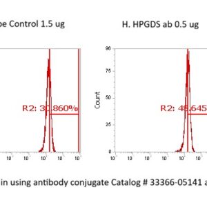 Human Prostaglandin D Synthase (Hematopoietic) AssayLite Antibody (FITC Conjugate)