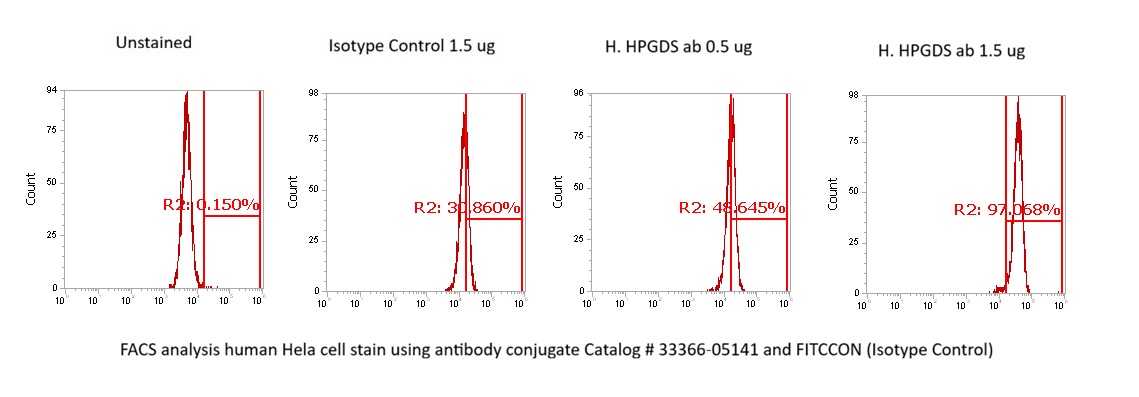 Human Prostaglandin D Synthase (Hematopoietic) AssayLite Antibody (FITC Conjugate)