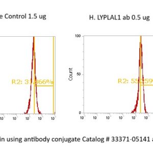 Human Lysophospholipase-like Protein 1 AssayLite Antibody (FITC Conjugate)