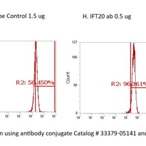 Human IFT20 AssayLite Antibody (FITC Conjugate)