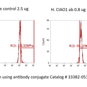 Human CIAO1 Antibody (FITC Conjugate)