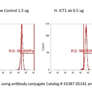 Human ICT1 AssayLite Antibody (FITC Conjugate)