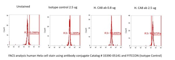 Human Carbonic Anhydrase 8 (CA8) Antibody (FITC Conjugate) - Image 2