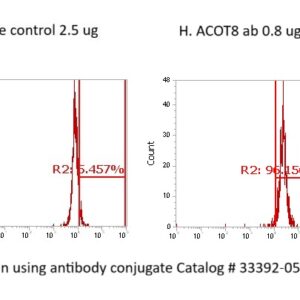 Human Acyl-coenzyme A Thioesterase 8 Antibody (FITC Conjugate)