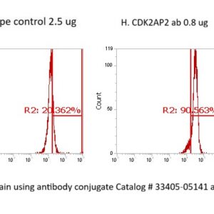 Human CDK2AP2 AssayLite Antibody (FITC Conjugate)