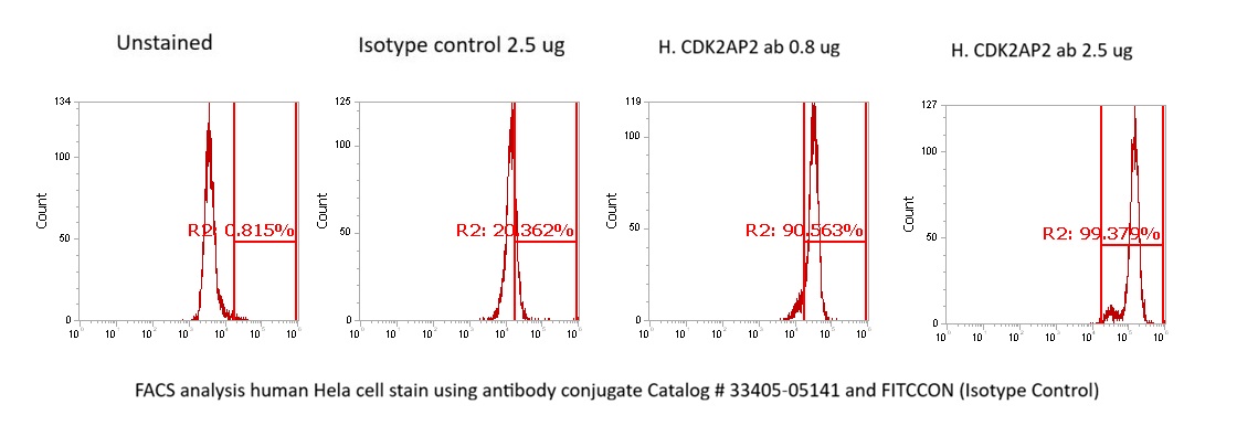 Human CDK2AP2 AssayLite Antibody (FITC Conjugate)