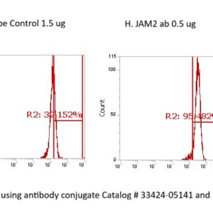 Human Junctional Adhesion Molecule 2/JAM-B AssayLite Antibody (FITC Conjugate)