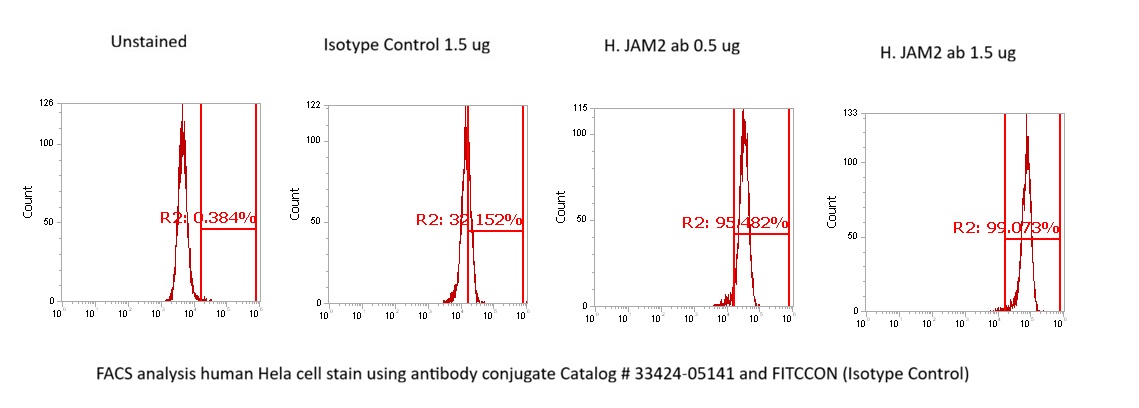 Human Junctional Adhesion Molecule 2/JAM-B AssayLite Antibody (FITC Conjugate)