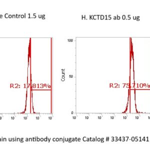 Human KCDT15 AssayLite Antibody (FITC Conjugate)