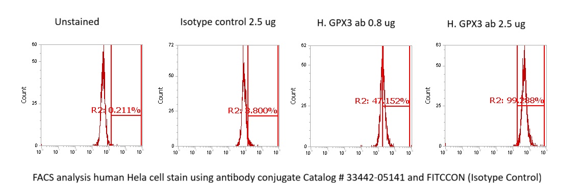 Human Glutathione Peroxidase 3 / GPX-3 Antibody (FITC Conjugate) - Image 2