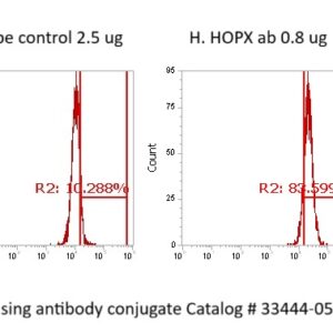 Human HOPX Antibody (FITC Conjugate)