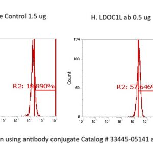 Human LDOC1L AssayLite Antibody (FITC Conjugate)