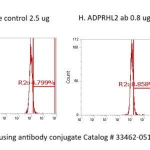 Human ARH3 Antibody (FITC Conjugate)